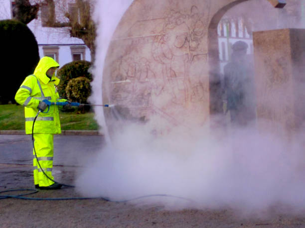 Best Exterior Home Cleaning  in Kingsley, IA